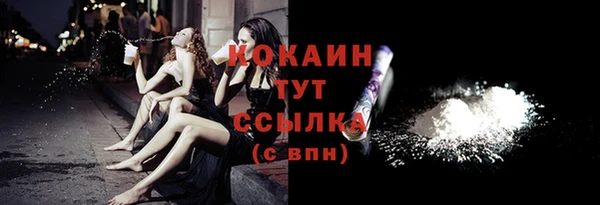тгк Алексин