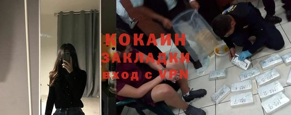 тгк Алексин