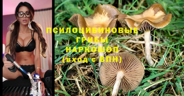 ALPHA PVP Алзамай