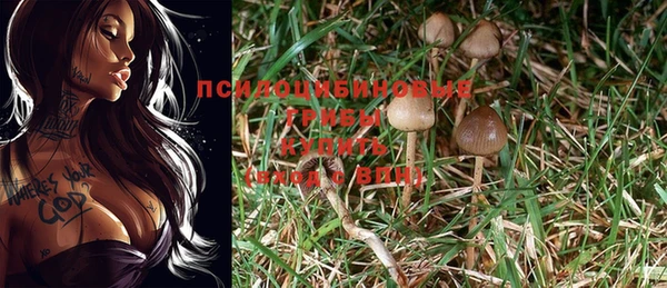 тгк Алексин