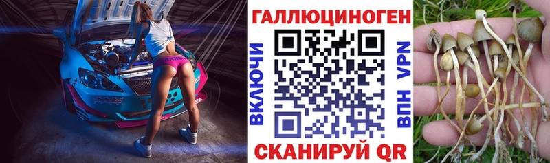 Галлюциногенные грибы Cubensis  Могоча 